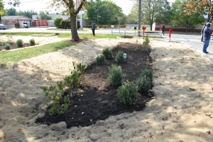 A rain garden that will clean thousands of gallons of polluted runoff.  Photo credit: Interfaith Partners of the Chesapeake.