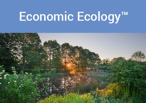 Economic Ecology – Maximizing Economic and Environmental Returns through Floodplain Restoration