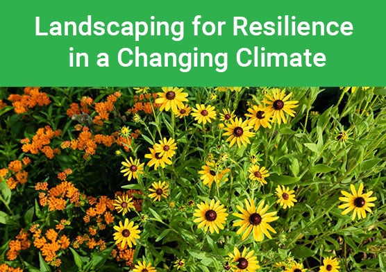 Landscaping for Resilience in a Changing Climate