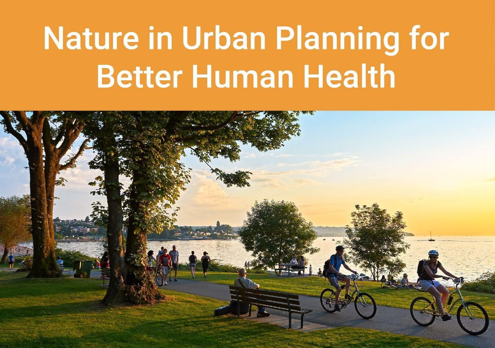Nature in Urban Planning for Better Human Health