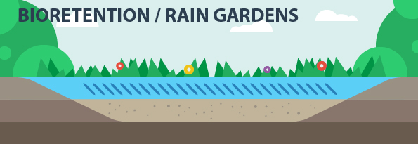 Bioretention / Rain Gardens