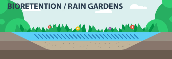 bioretention / rain gardens