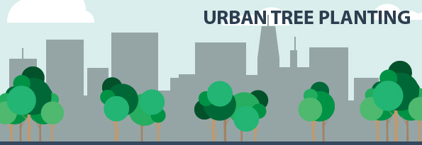 urban tree planting
