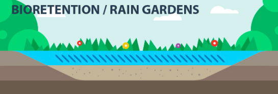 bioretention / rain gardens